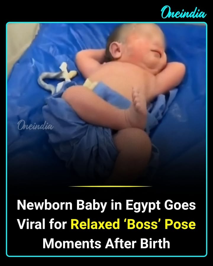 Born to chill! 😂❤️