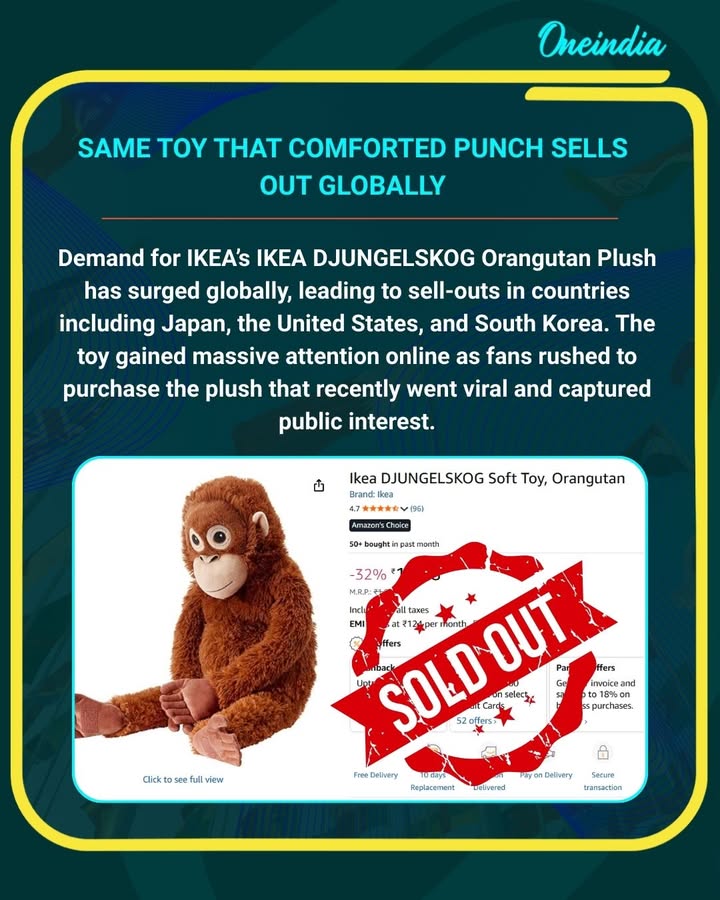 Fans Rush to Buy Toy That Comforted Monkey Punch