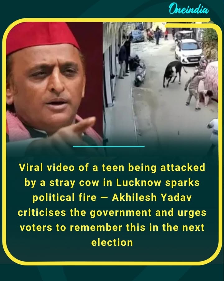 Viral video of a teen being attacked by a stray cow in Lucknow sparks political fire — Akhilesh Yadav criticises the government and urges voters to remember this in the next election