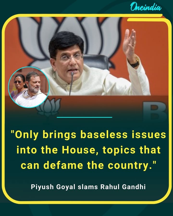 Piyush Goyal criticises Rahul Gandhi, alleging he repeatedly raises unfounded issues in Parliament that could harm the nation’s image.