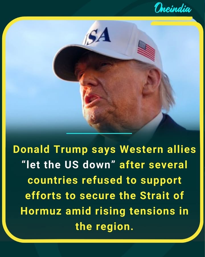 “Western allies let the US down” in securing the Strait of Hormuz, says Donald Trump.