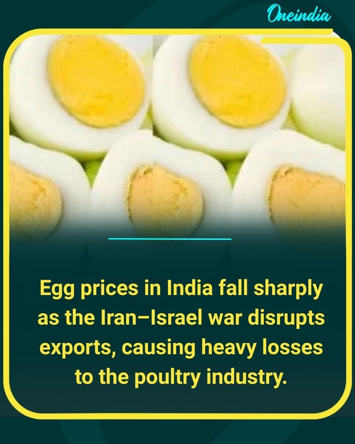 War in West Asia hits India’s poultry sector as egg prices crash and exports stall.