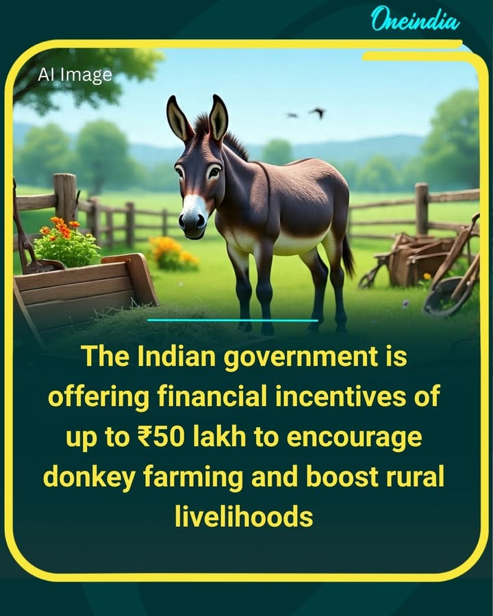 Big push for donkey farming in India! The government is offering incentives up to ₹50 lakh to promote livestock entrepreneurship and support rural incomes.