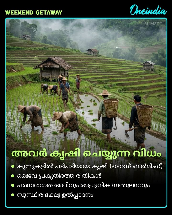 വേട്ടയാടൽ നിരോധിച്ച് പ്രകൃതിയെ രക്ഷിച്ച ഇന്ത്യയുടെ ആദ്യ ഹരിത ഗ്രാമം – ഖോനോമ! 🌿
നാഗാലാൻഡിലെ ഈ ചെറിയ ഗ്രാമം ലോകത്തിന് ഒരു വലിയ പാഠം നൽകുന്നു. വിശ്വാസത്തിലും സാഹോദര്യത്തിലും പ്രകൃതി സ്നേഹത്തിലും ജീവിക്കുന്ന ഖോനോമ – ഇന്ത്യയുടെ അഭിമാനം. ഈ കഥ നിങ്ങളുടെ പ്രിയപ്പെട്ടവരുമായി പങ്കിടൂ! 👇