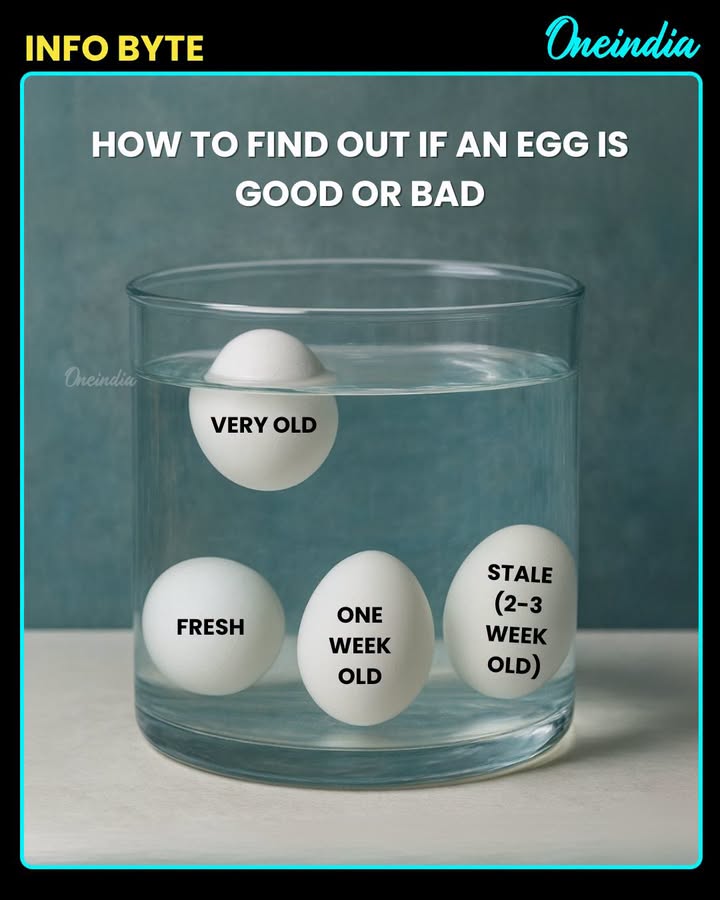 Simple Tricks to Check If Your Egg Is Fresh or Spoiled