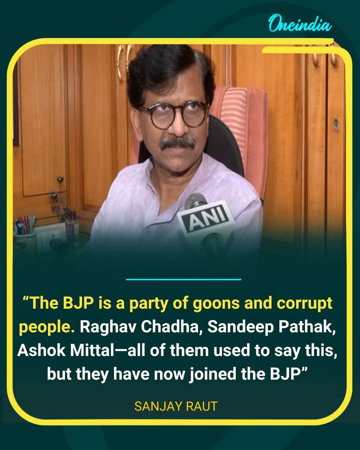 Raghav Chadha, Sandeep Pathak, Ashok Mittal named in sharp attack on BJP