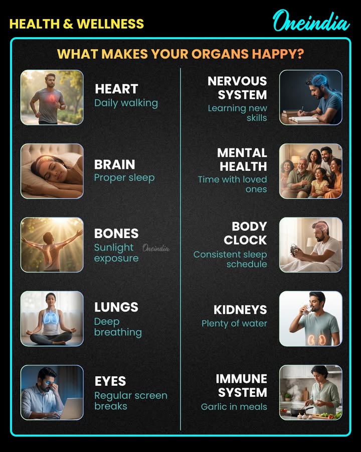 Your Body’s Wishlist: What Makes Every Organ Happy