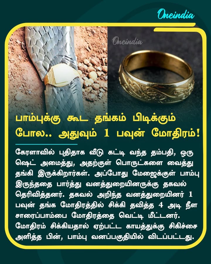 தங்கம் பாம்புக்கு கூட பிடிக்கும் போல.. அதுவும் 1 பவுன் மோதிரம்!