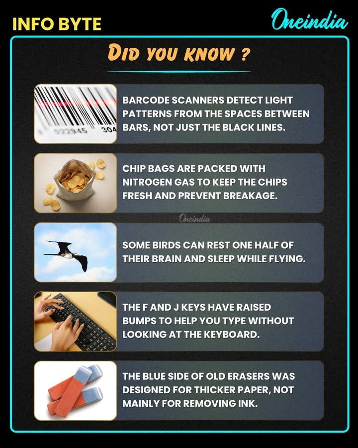 Tiny facts. Big surprises. 
From barcode scanners to sleeping birds, the world is full of hidden science and clever design! Which one amazed you the most?