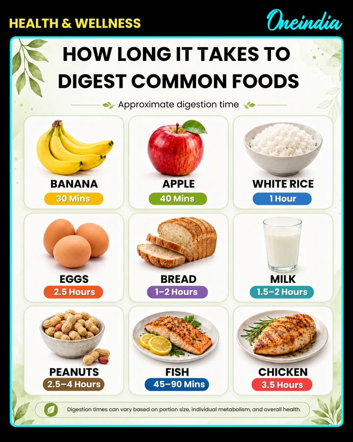 Not all foods digest at the same speed. Knowing the digestion time of different foods can help you make healthier dietary choices.