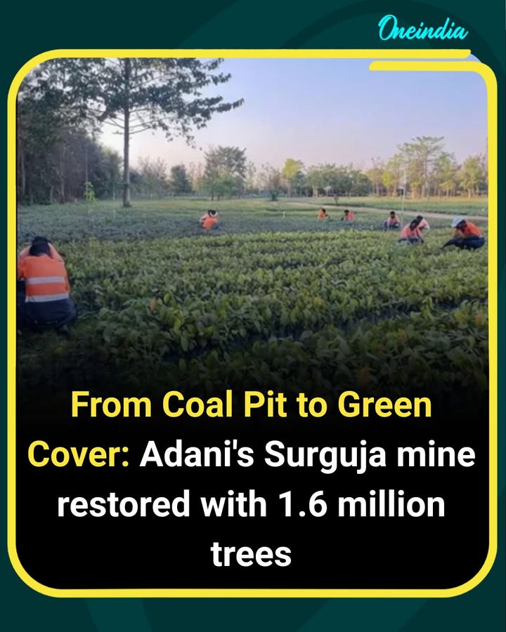 In a major environmental restoration initiative, Adani has transformed a former coal mining site in Surguja, Chhattisgarh, into a thriving green landscape by planting over 1.6 million trees. The large-scale afforestation effort is aimed at restoring ecological balance, improving biodiversity, and demonstrating sustainable mine reclamation practices. The project highlights how mined land can be rehabilitated into productive green spaces after resource extraction.