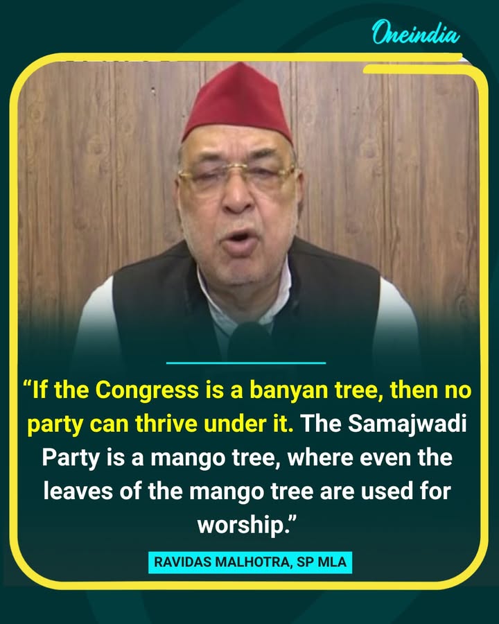 SP MLA Ravidas Malhotra Takes a Swipe at Congress with Tree Analogy