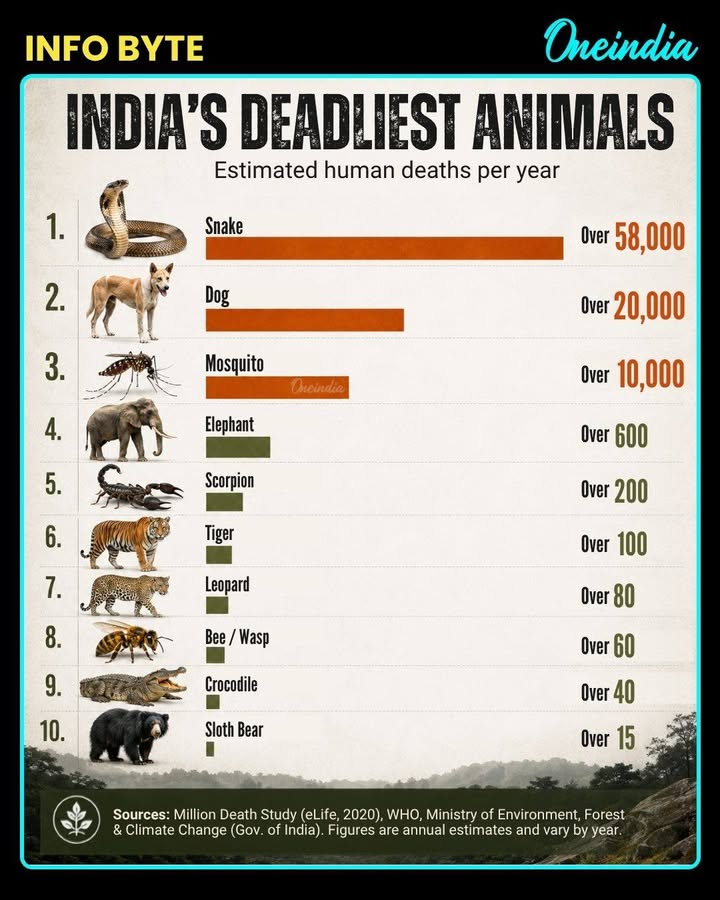 India’s Deadliest Animals 🐍🐕🦟