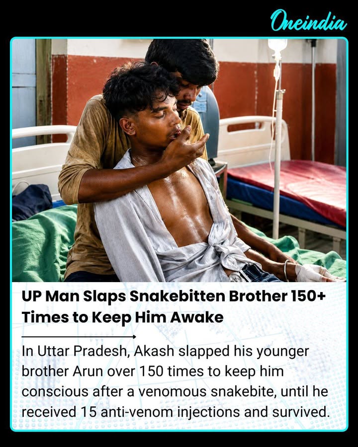 In Uttar Pradesh, Akash slapped his younger brother Arun more than 150 times over an hour after he suffered a venomous snakebite. Acting on advice to keep Arun conscious until medical treatment arrived, Akash continued trying to keep him awake. Arun eventually received 15 anti-venom injections and survived.