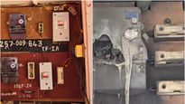 திருவண்ணாமலை செய்யாறு வீடுகளில் மின்சார மீட்டர்கள் பழுதுக்கு அணில் காரணம்.. மின்சார வாரியம் பதில்