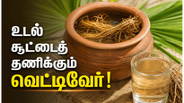 வெட்டிவேர் தண்ணீரை வெறும் வயிற்றில் குடித்தால் இவ்வளவு நன்மைகளா? இதோ முழு விவரம்!
