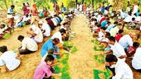 மதுரை அருகே 100 சேவல்கள் பலி.. ஆடி படையல் விழாவில் ஆண்கள் மட்டும் ஏன் பங்கேற்கிறார்கள்?