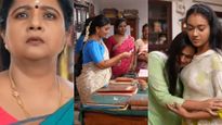 சிறகடிக்க ஆசை: ரோகிணி சொன்ன பொய்யே வினையாக மாறிப்போச்சு.. மீனாக்கு நடந்த நல்ல விஷயம்