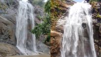 கொல்லிமலை ஆகாய கங்கை நீர்வீழ்ச்சியில் சட்டென மாறிய காட்சி .. அவசர  வார்னிங் 
