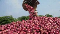 வேதனையை கிளப்புது வெங்காயம்..உரிக்காமாலேயே கண்ணீர் வருதே! விர்ருனு விலையேற்றம்.. பட்ஜெட்டில் துண்டு! 