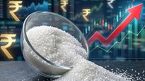 சர்க்கரை விலை கிடுகிடு உயர்வு.. ரூ.5,560 வரை எகிறியது! பண்டிகைக்கு முன் மத்திய அரசு அதிரடி