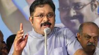 ஜல்லிக்கட்டு போட்டிகளால் இளைஞர்கள் சமுதாயம் சீரழிகிறதா? தவெக எம்எல்ஏவுக்கு தினகரன் கண்டனம்