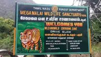 மேகமலை ஆக்கிரமிப்பாளர் பட்டியலில் ராணுவ வீரர்கள் டூ சார்பதிவாளர்.. அரசு ஊழியர்கள் 118 பேர் யார்?