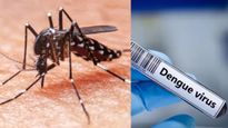 தமிழகத்தில் அதிகரிக்கும் டெங்கு காய்ச்சல்! Dengue அறிகுறிகள் என்னென்ன? 