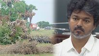 முதல்வர் விஜய் பிரச்சாரக் கூட்டத்துக்காக பனைமரங்கள் அகற்றம்? மதுராந்தகம் அருகே ஷாக்!