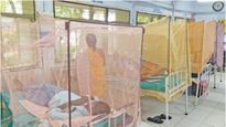 தமிழ்நாட்டில் ஒரே நாளில்.. 244 பேருக்கு டெங்கு! மொத்த பாதிப்பு கிடுகிடு உயர்வு!