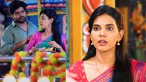 பாண்டியன் ஸ்டோர் 2 அஞ்சலி இனி இவர்தான்.. சாதிகாக்கு பதில் வந்த புதிய நடிகை.. யார் தெரியுமா? 