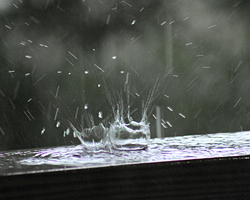 Rain