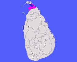 Kilinochchi District