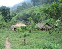 Tribal Village