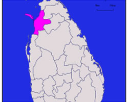 Mannar District