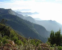 Kadaikanal