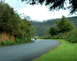 Ooty