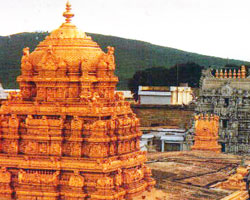 Tirupathi Temple