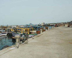Rameswaram fishing harbour