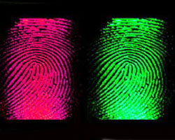 Finger prints