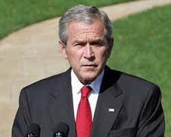 Bush