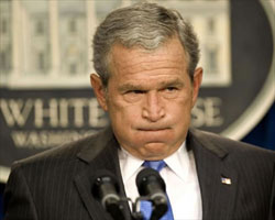 Bush