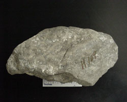 Uranium