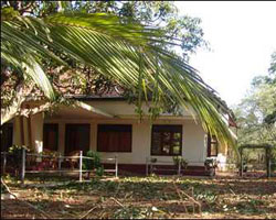 LTTE Political Head Office