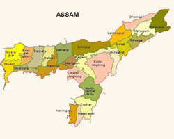 Assam map