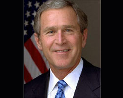 Bush