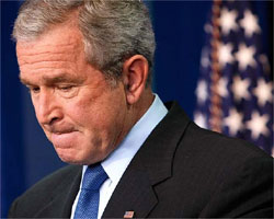 Bush