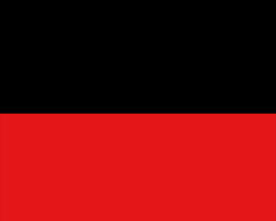 DMK Flag