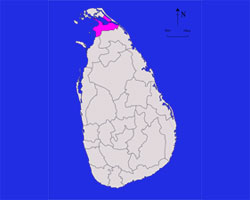 Kilinochchi district