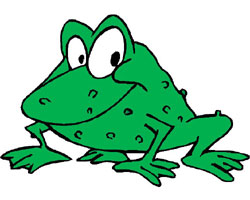 Frog Frog